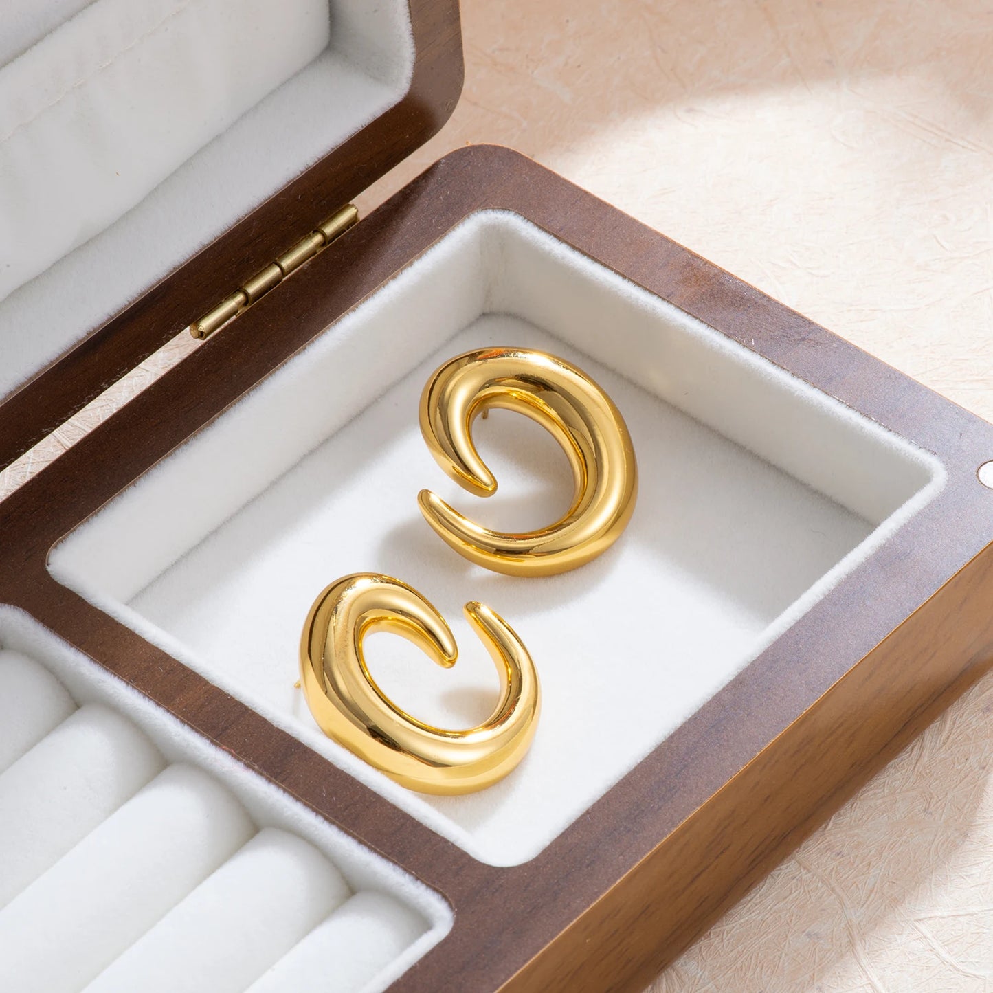 Irregular Hoop Earrings for Women
